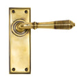 Reeded Lever on Plate