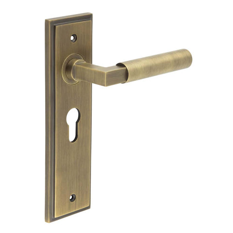 Westminster Lever Handle on Backplate