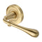 Roma Lever Handle on Round Rose
