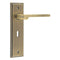 Fitzrovia Lever Handle on Backplate