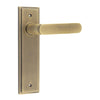 Kensington Lever Handle on Backplate