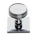 Venetian Cabinet Knob on Square Backplate